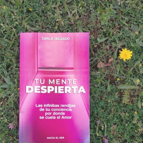 Libro Tu Mente Despierta PAPEL